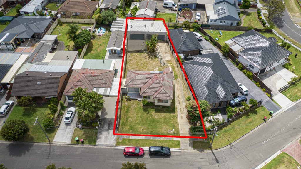 Michael Salechich property